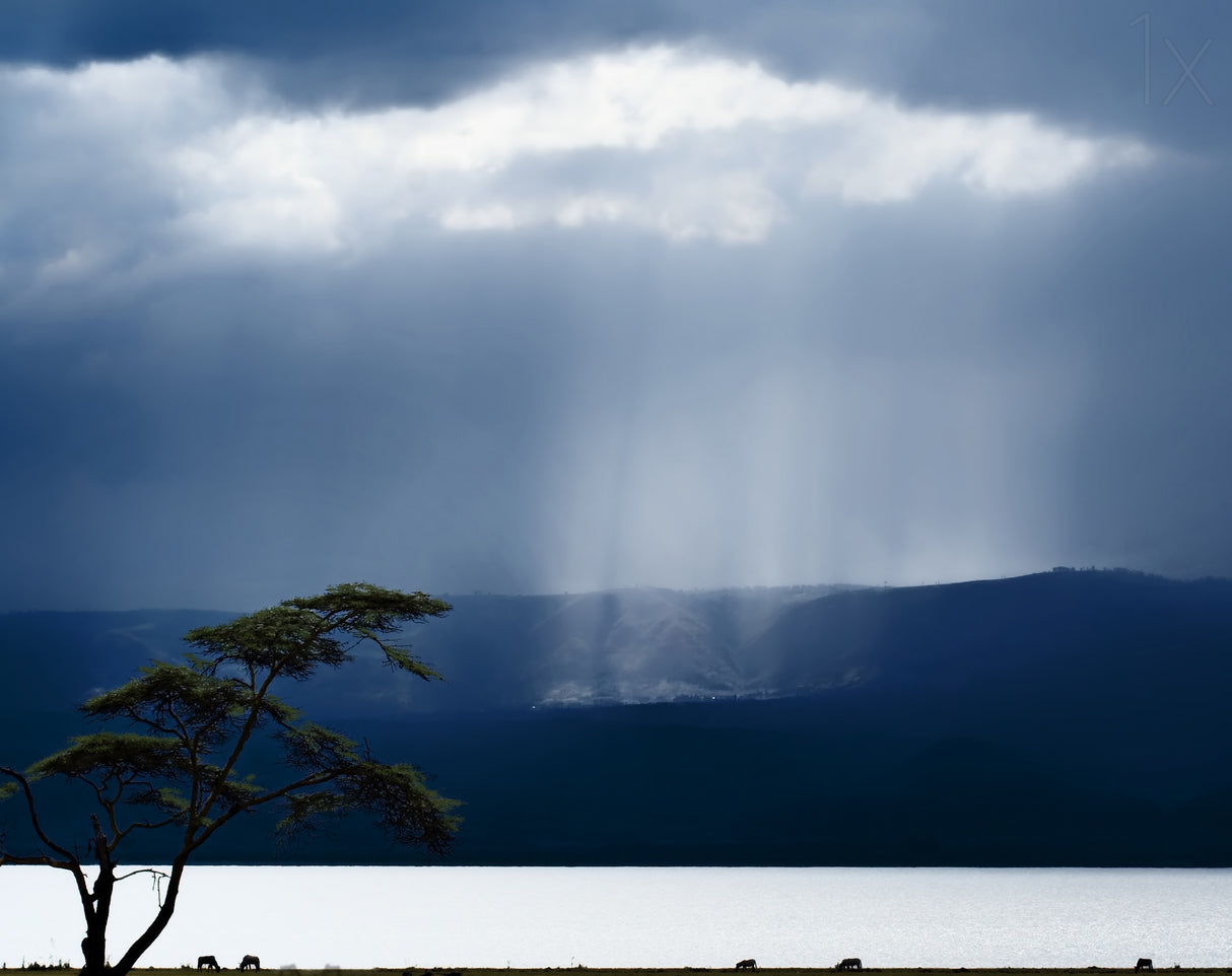 Clouds over lake Naivasha Poster och Canvastavla