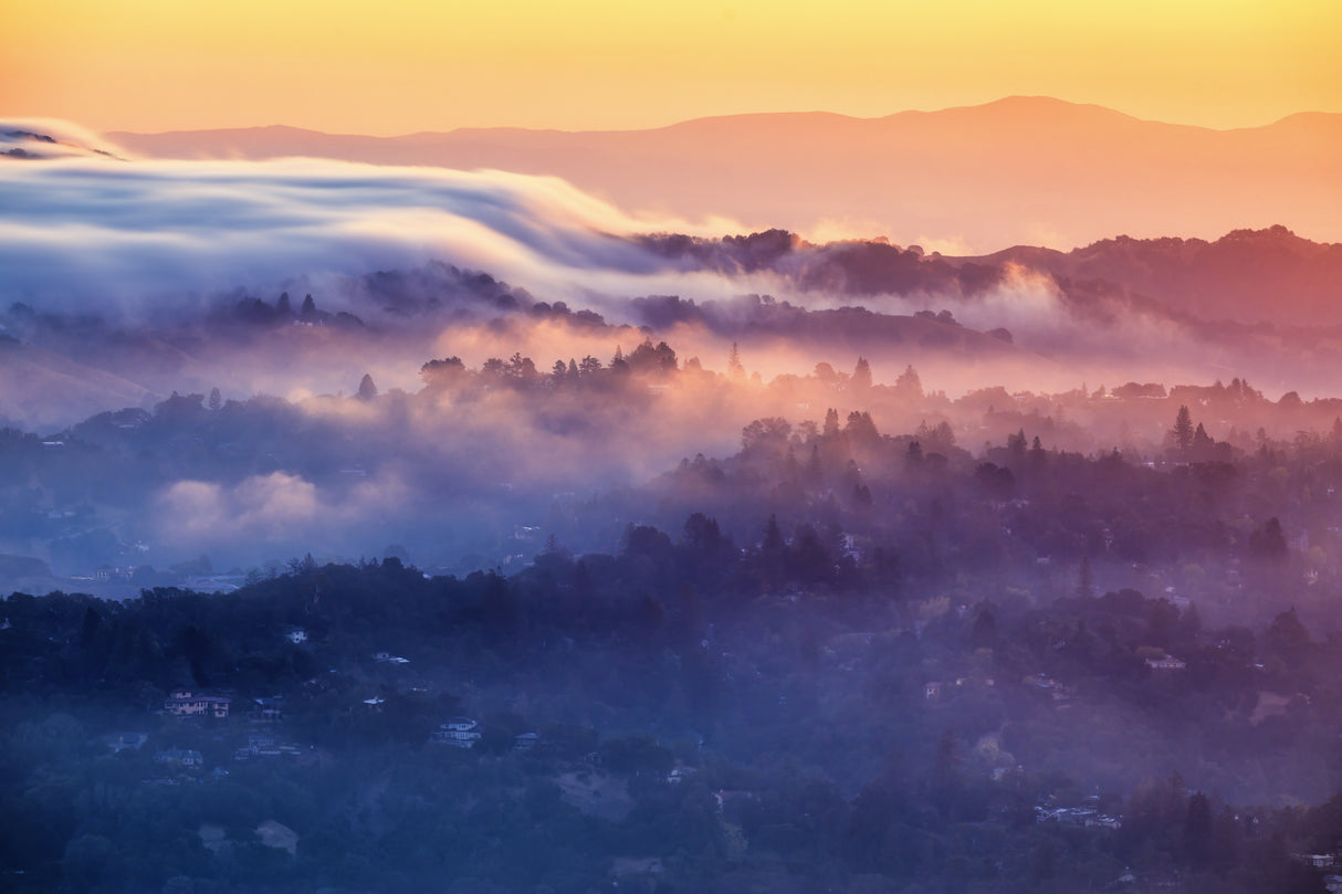 Moring Fogs at Berkeley Poster och Canvastavla