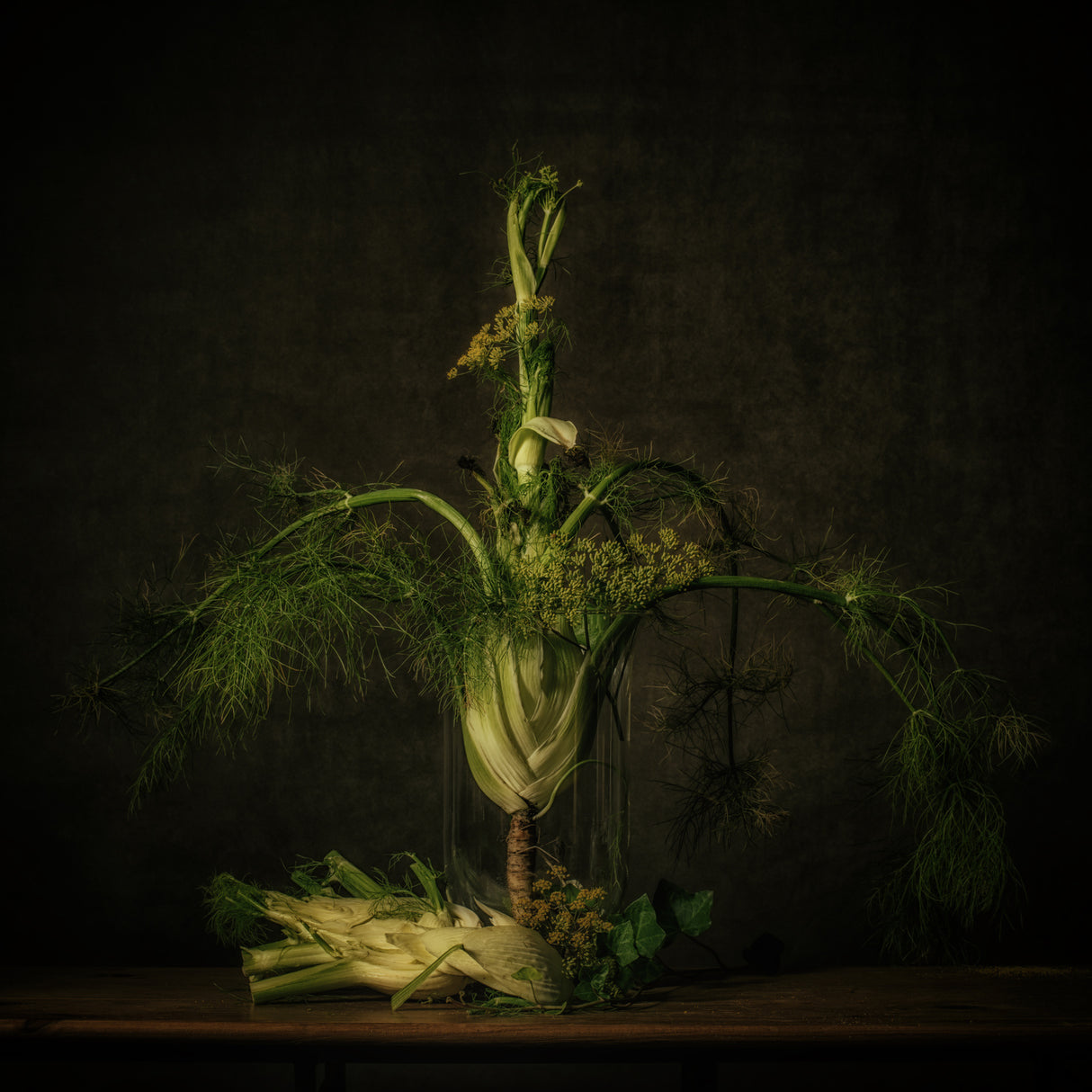 Still life Fennel Poster och Canvastavla