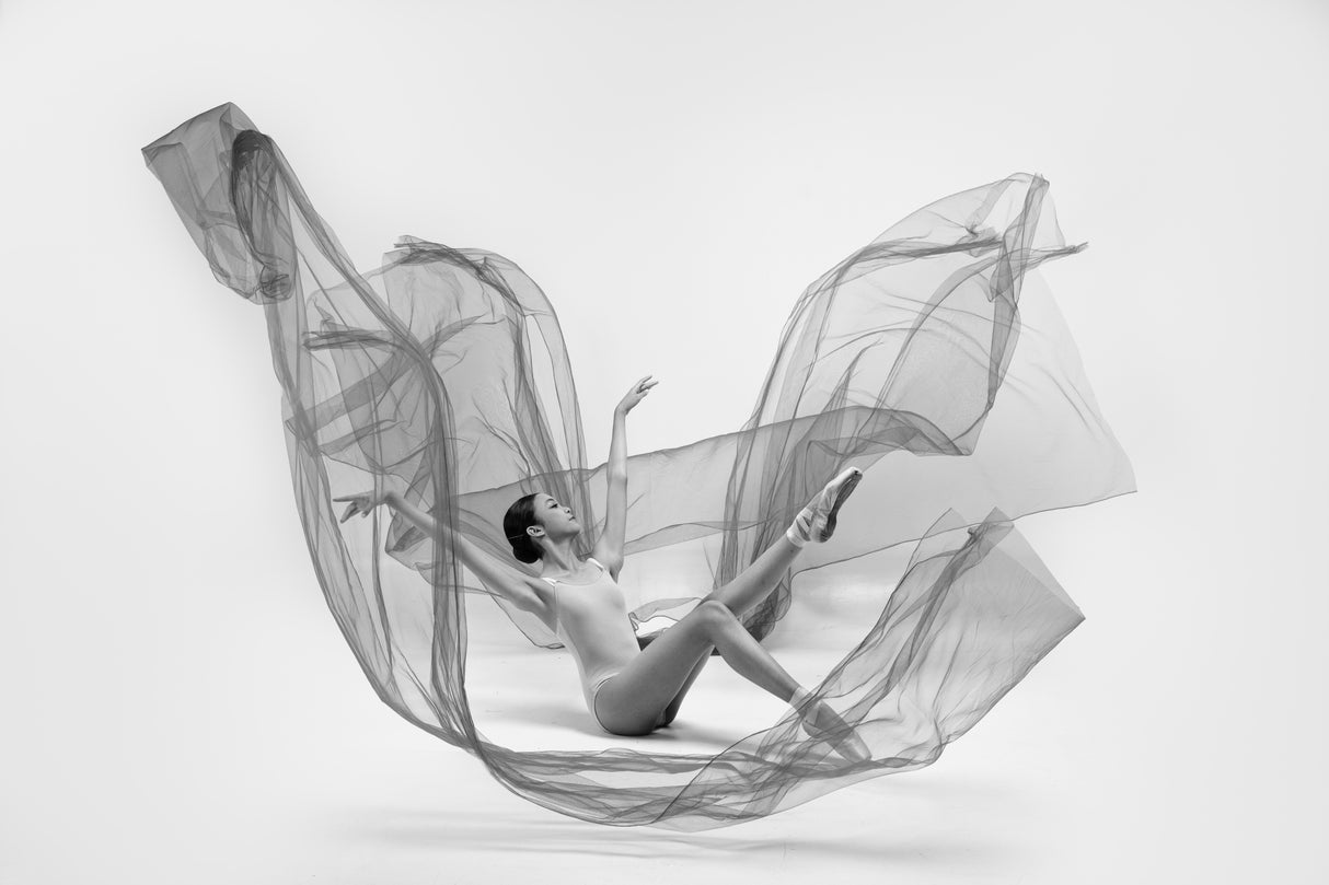 Ballerina Inside the cloth Poster och Canvastavla