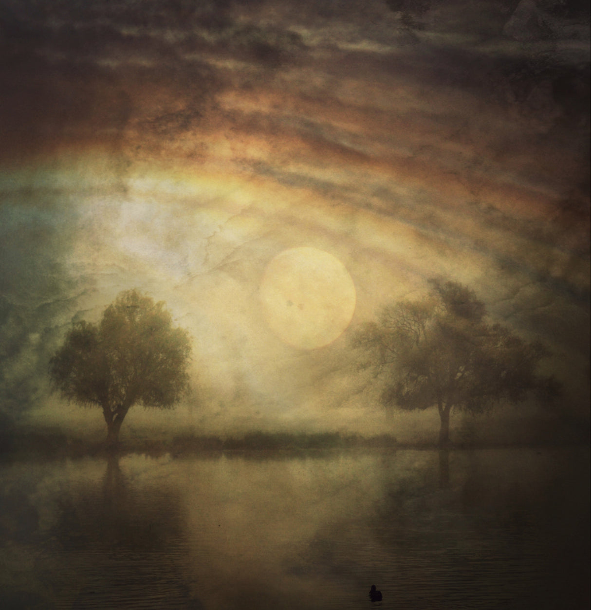 Some Nights... Poster och Canvastavla