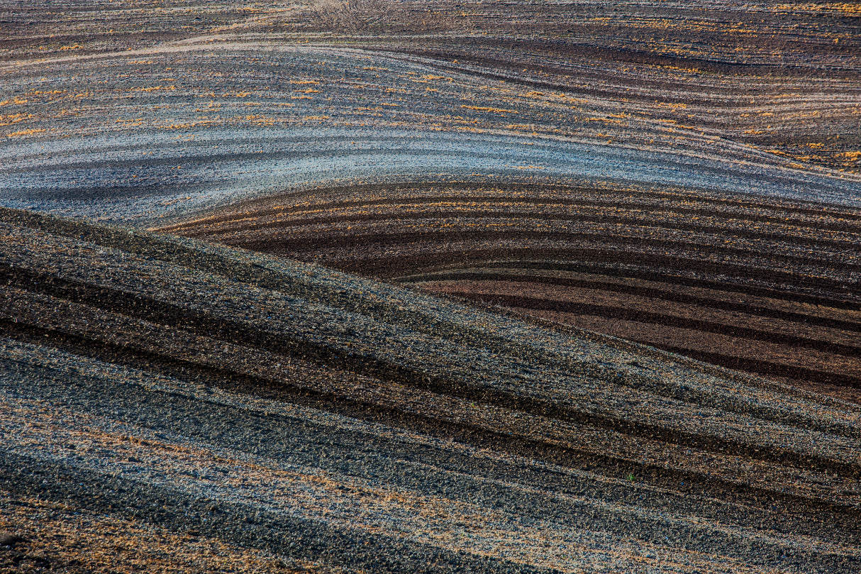 Lines in landscape Poster och Canvastavla