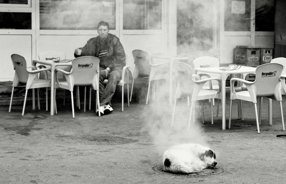 Hot dog Poster och Canvastavla