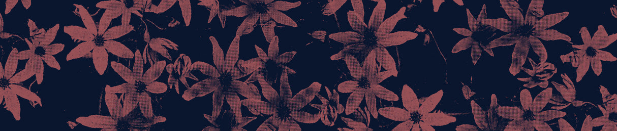 Flowers At Dawn Nº1 Poster och Canvastavla
