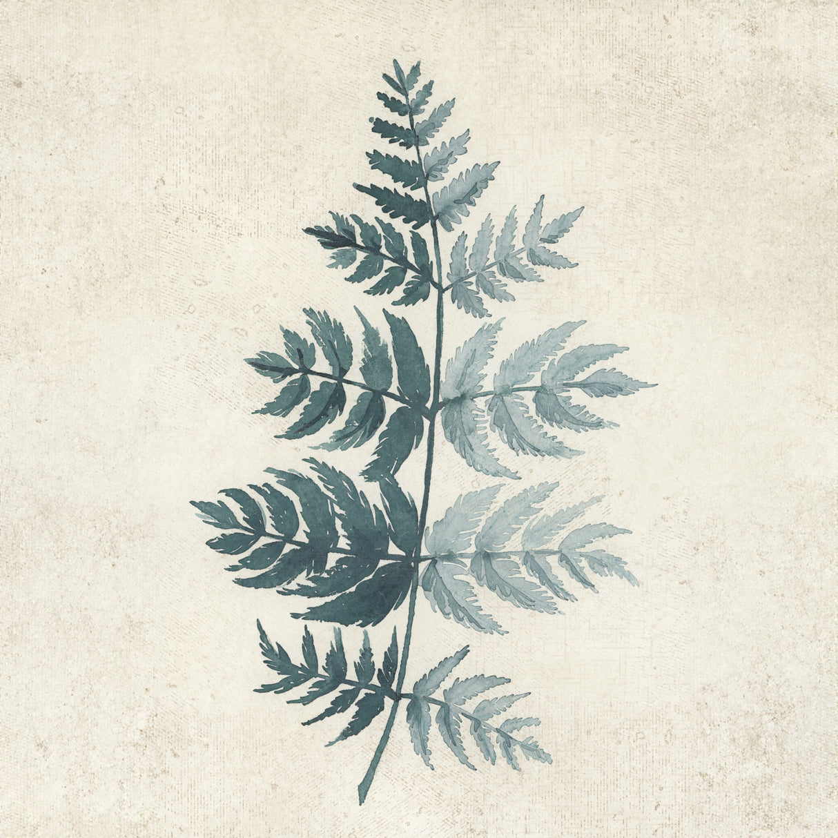 Teal watercolor fern 4 Poster och Canvastavla