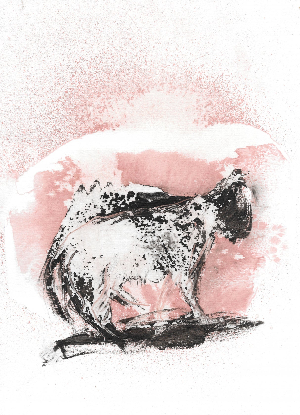 The Cat Poster och Canvastavla