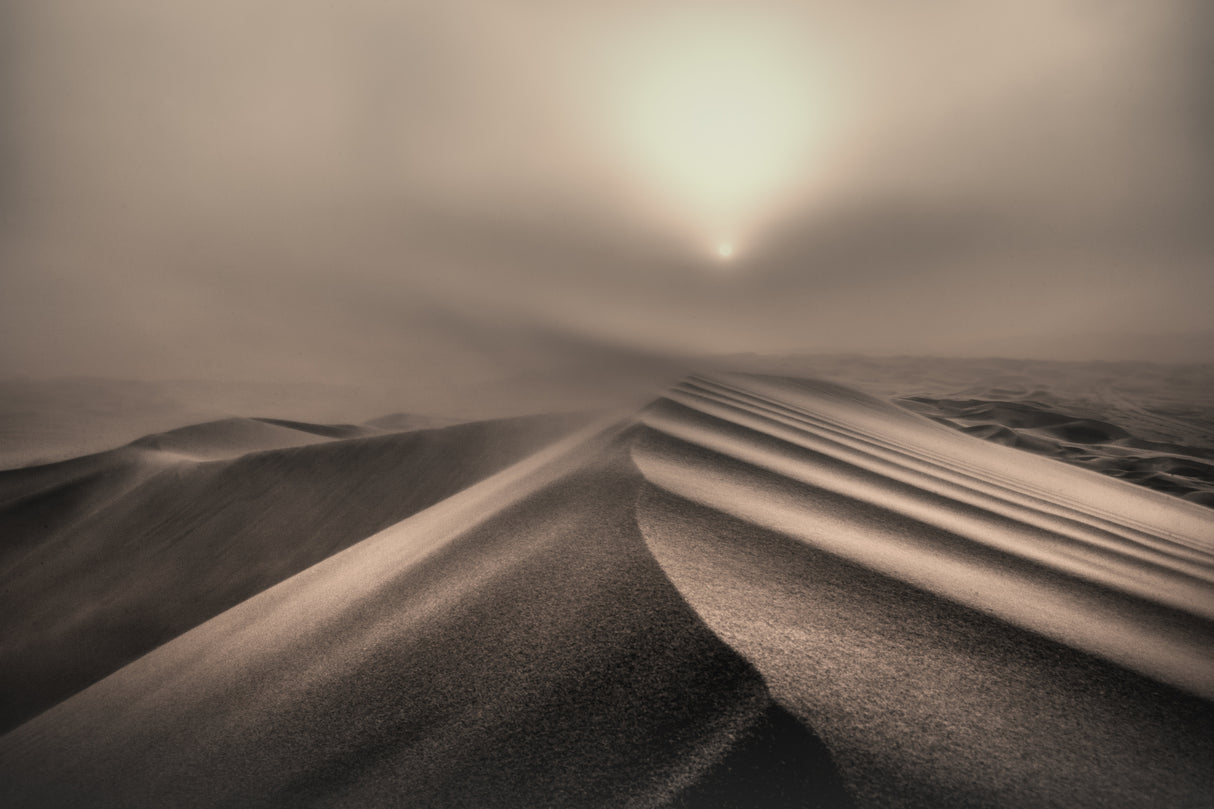 The perfect sandstorm Poster och Canvastavla