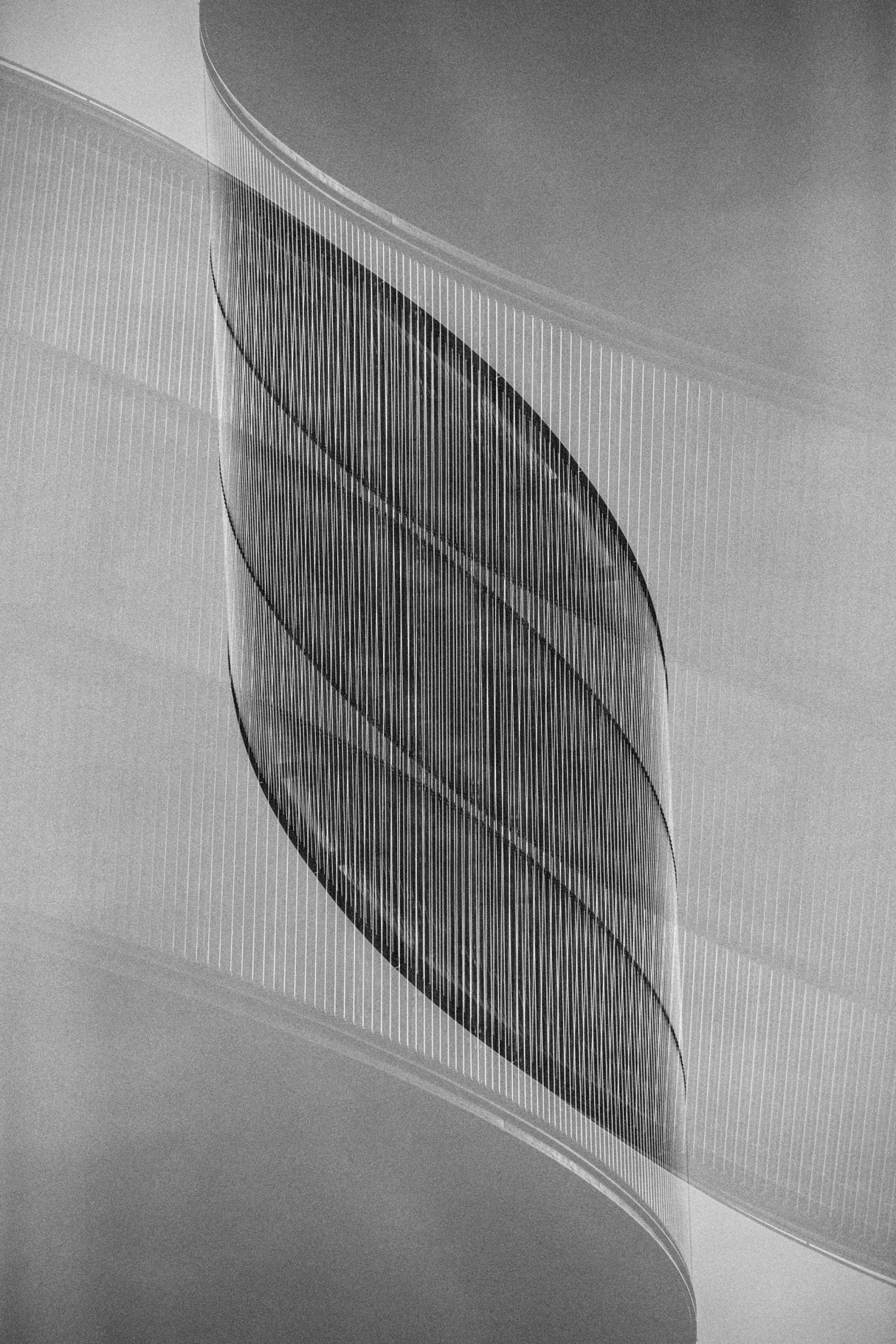 RASEN Poster och Canvastavla