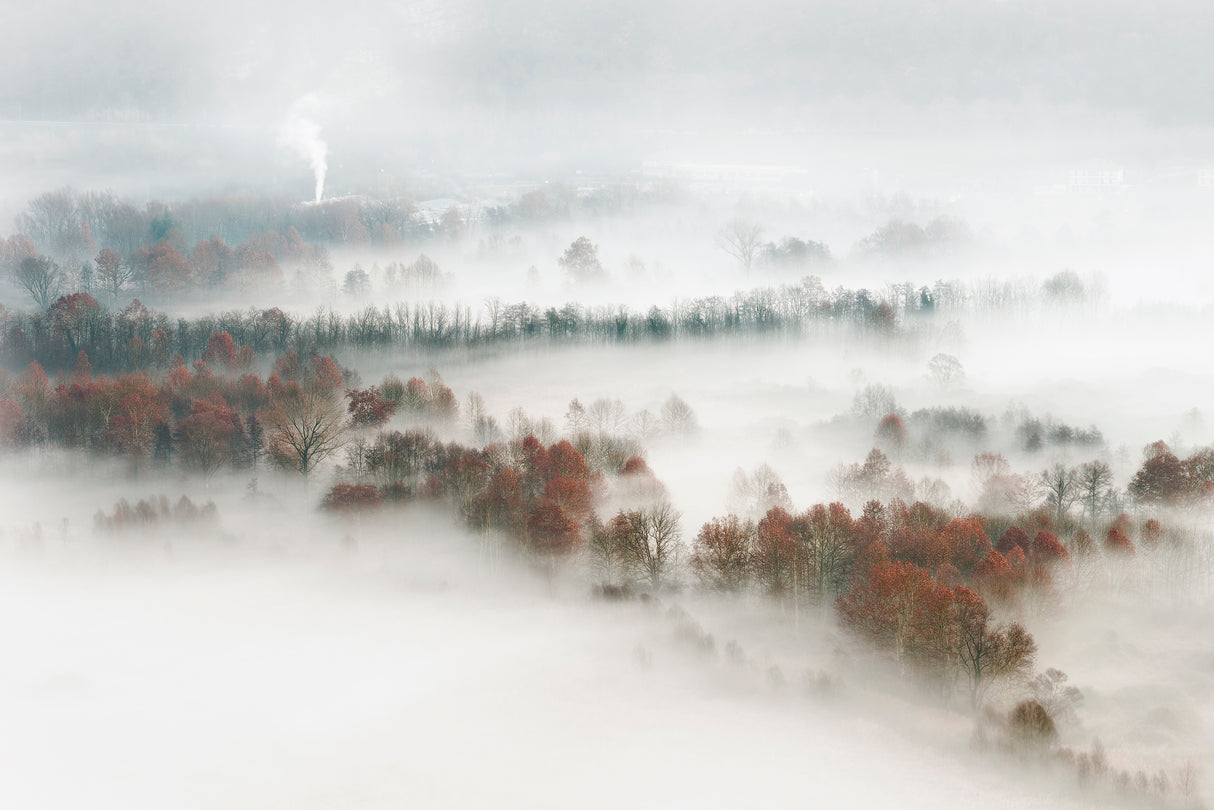 Factory Fog Poster och Canvastavla
