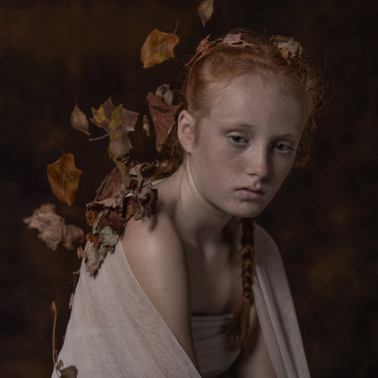 Autumn Poster och Canvastavla