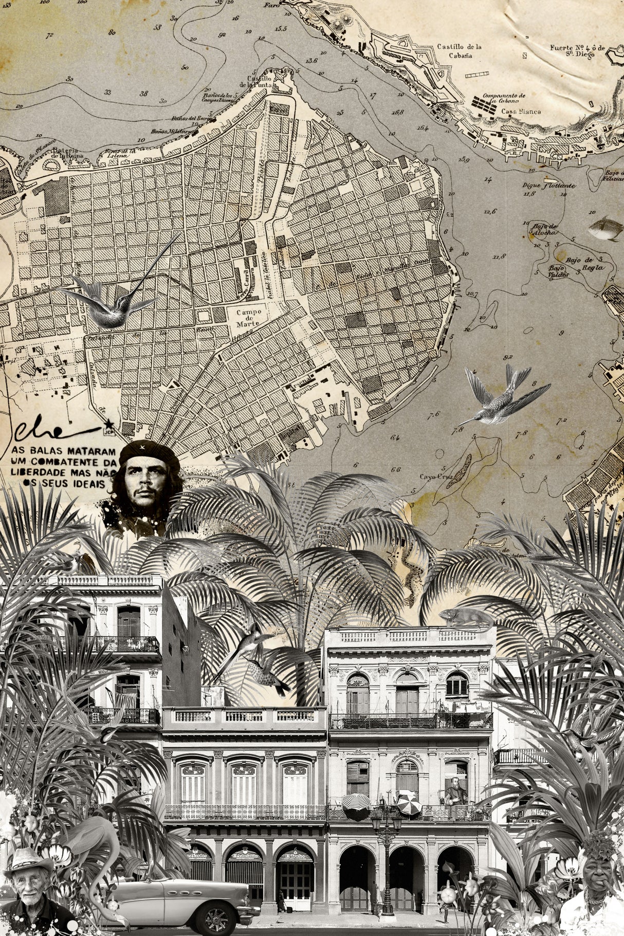 Havana (City Breaks) Poster och Canvastavla