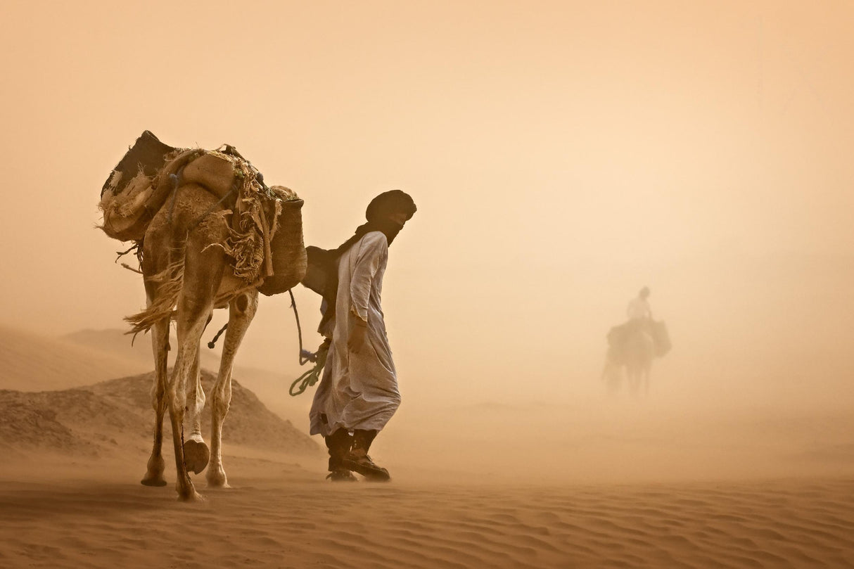 Sand Storm Poster och Canvastavla