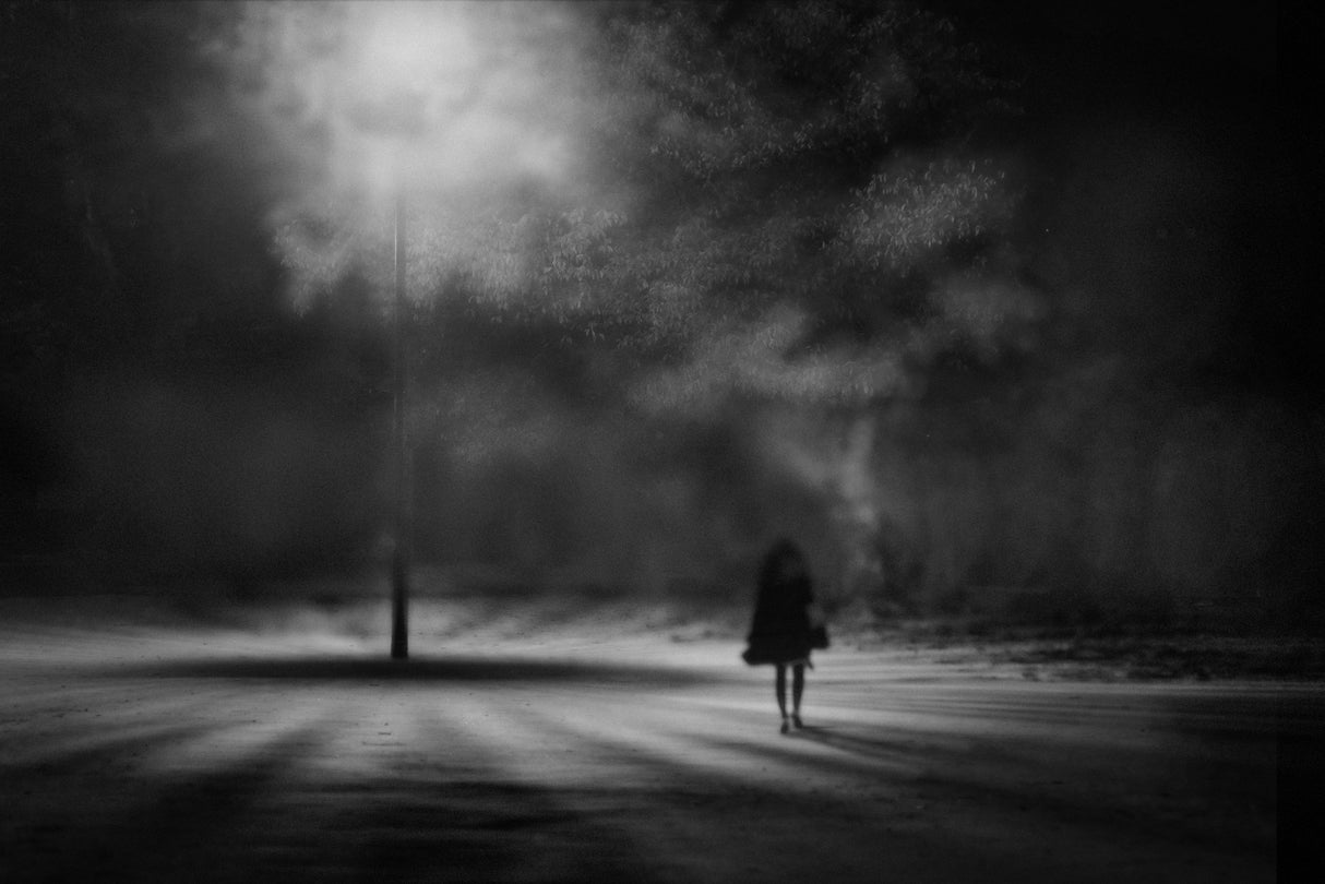 alone Poster och Canvastavla