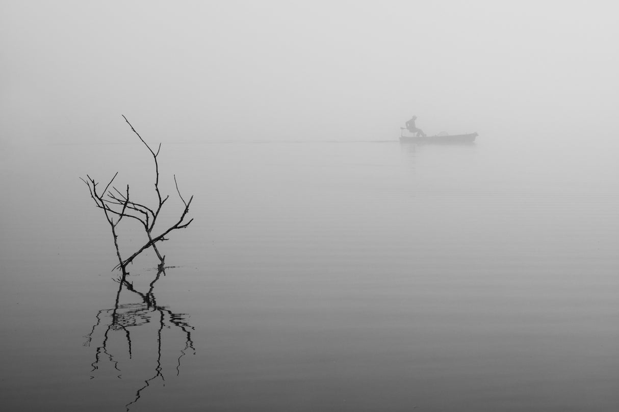 Foggy Day-2 Poster och Canvastavla