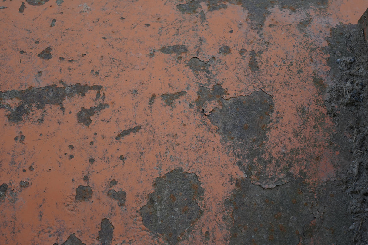 Rust 38 Poster och Canvastavla