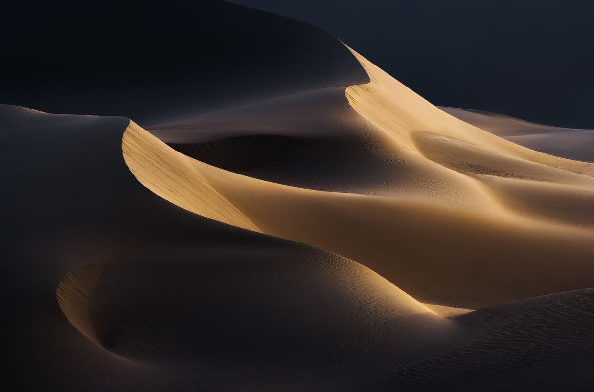 desert lines Poster och Canvastavla