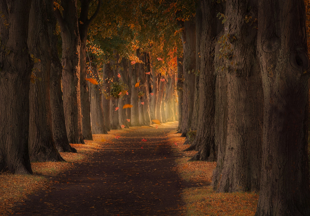 Autumn Poster och Canvastavla