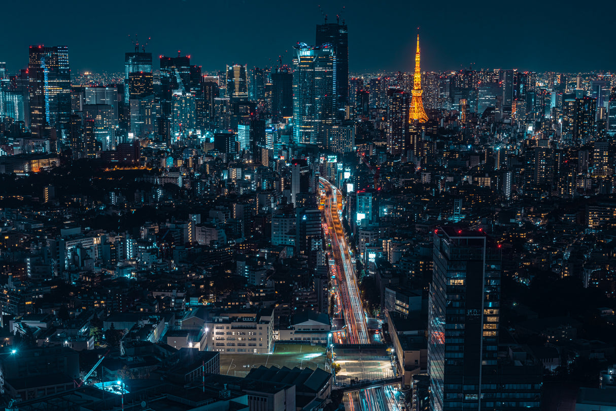 Tokyo Nightscape Poster och Canvastavla