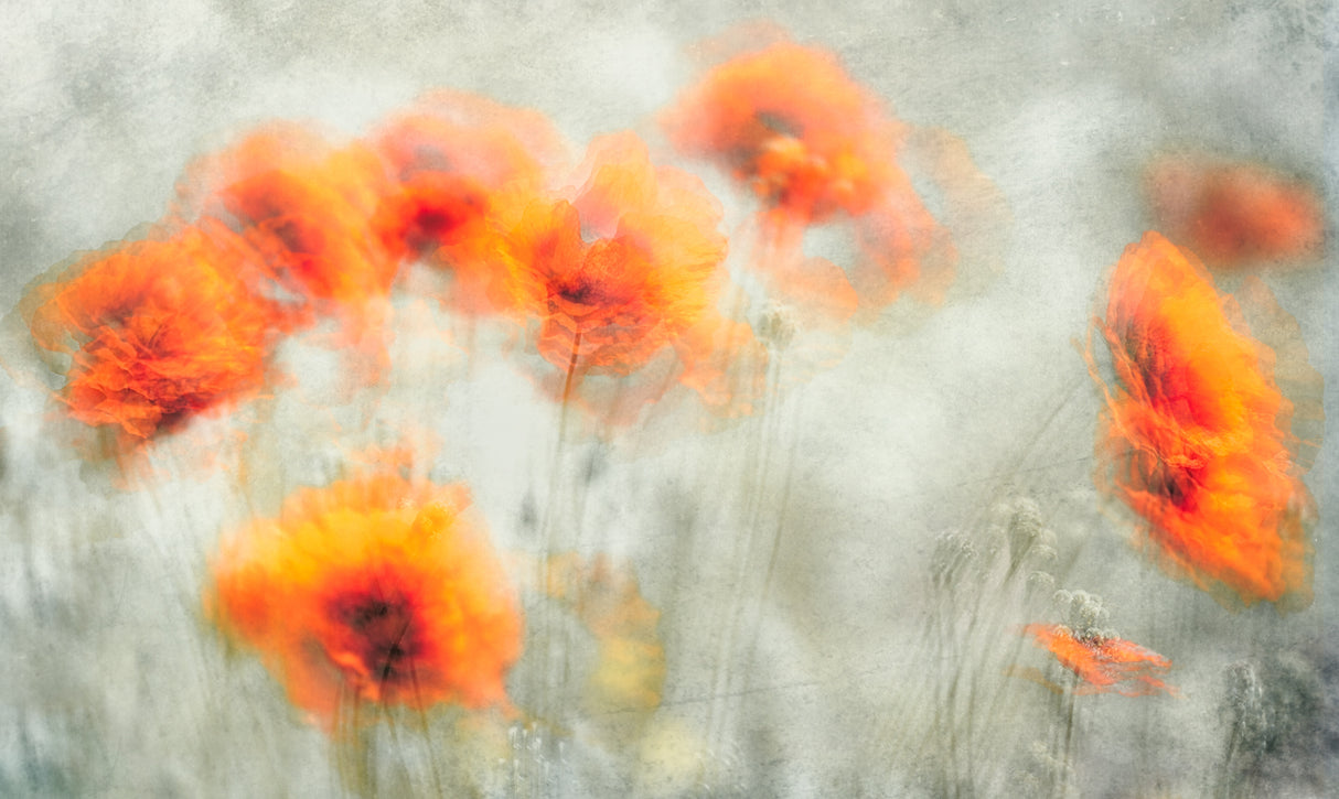 Gently Swaying in the Breeze Poster och Canvastavla