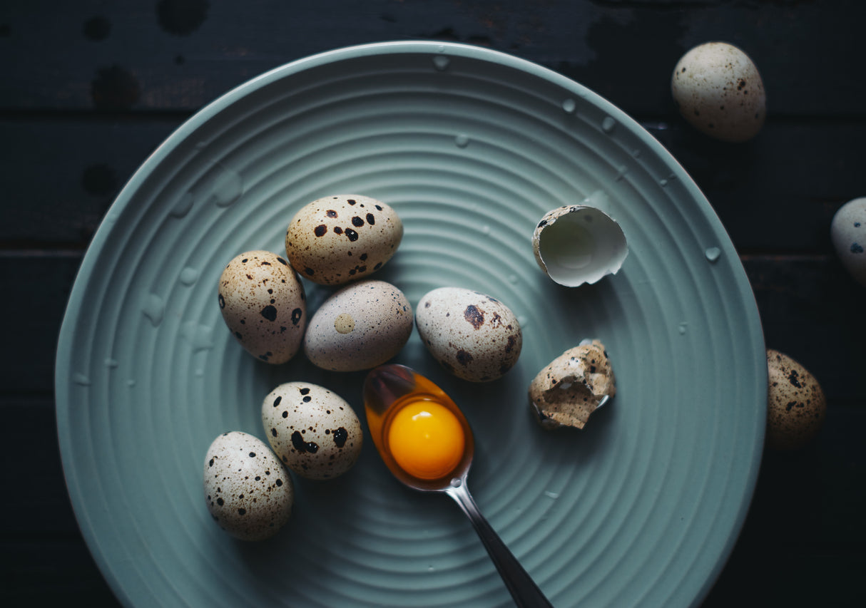 Eggs in a plate Poster och Canvastavla