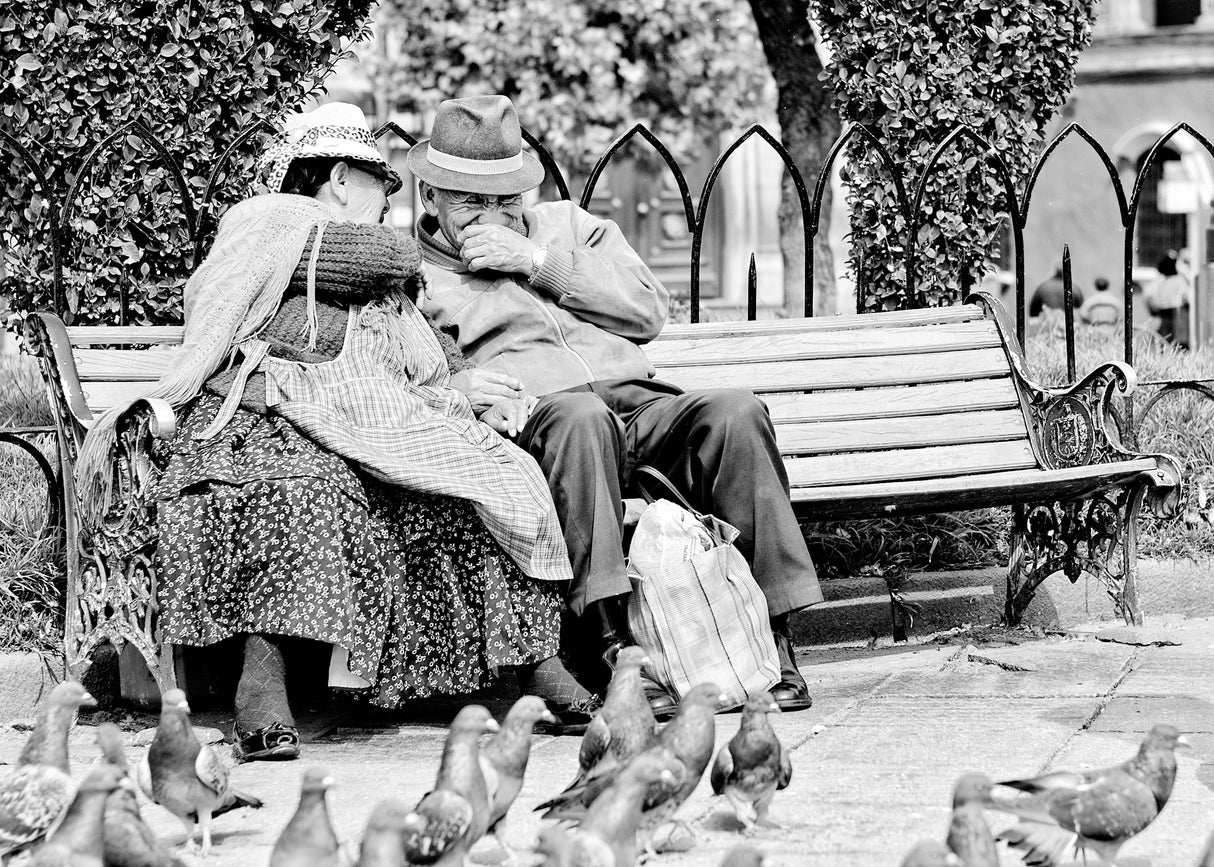 Lovebirds Poster och Canvastavla