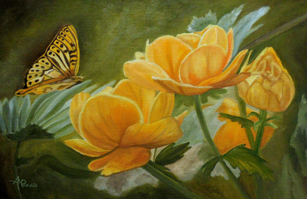 Butterfly Among Yellow Flowers Poster och Canvastavla