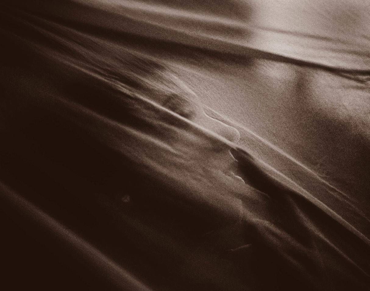 Lida Poster och Canvastavla