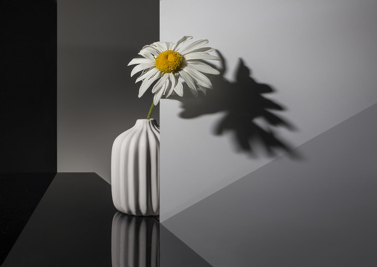 "Beautiful and lonely" Poster och Canvastavla