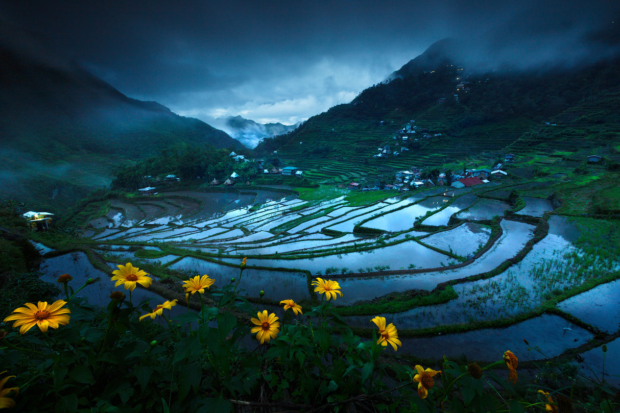 Batad Rice Terraces Poster och Canvastavla