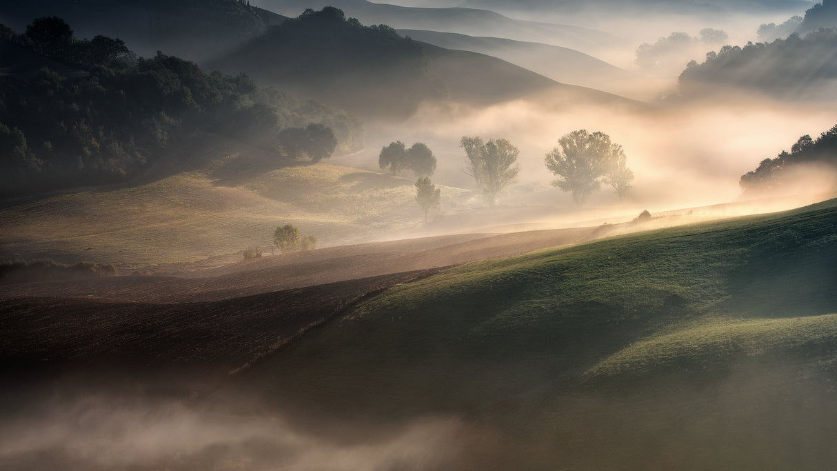 "IN THE EMBRACE OF THE FOG II" Poster och Canvastavla