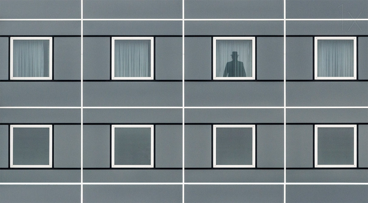 The shadow man Poster och Canvastavla