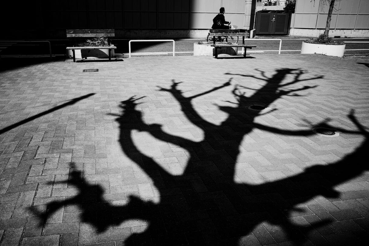 Poster och Canvastavla