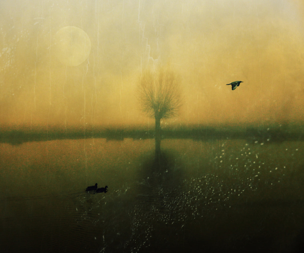 Some Time After... Poster och Canvastavla