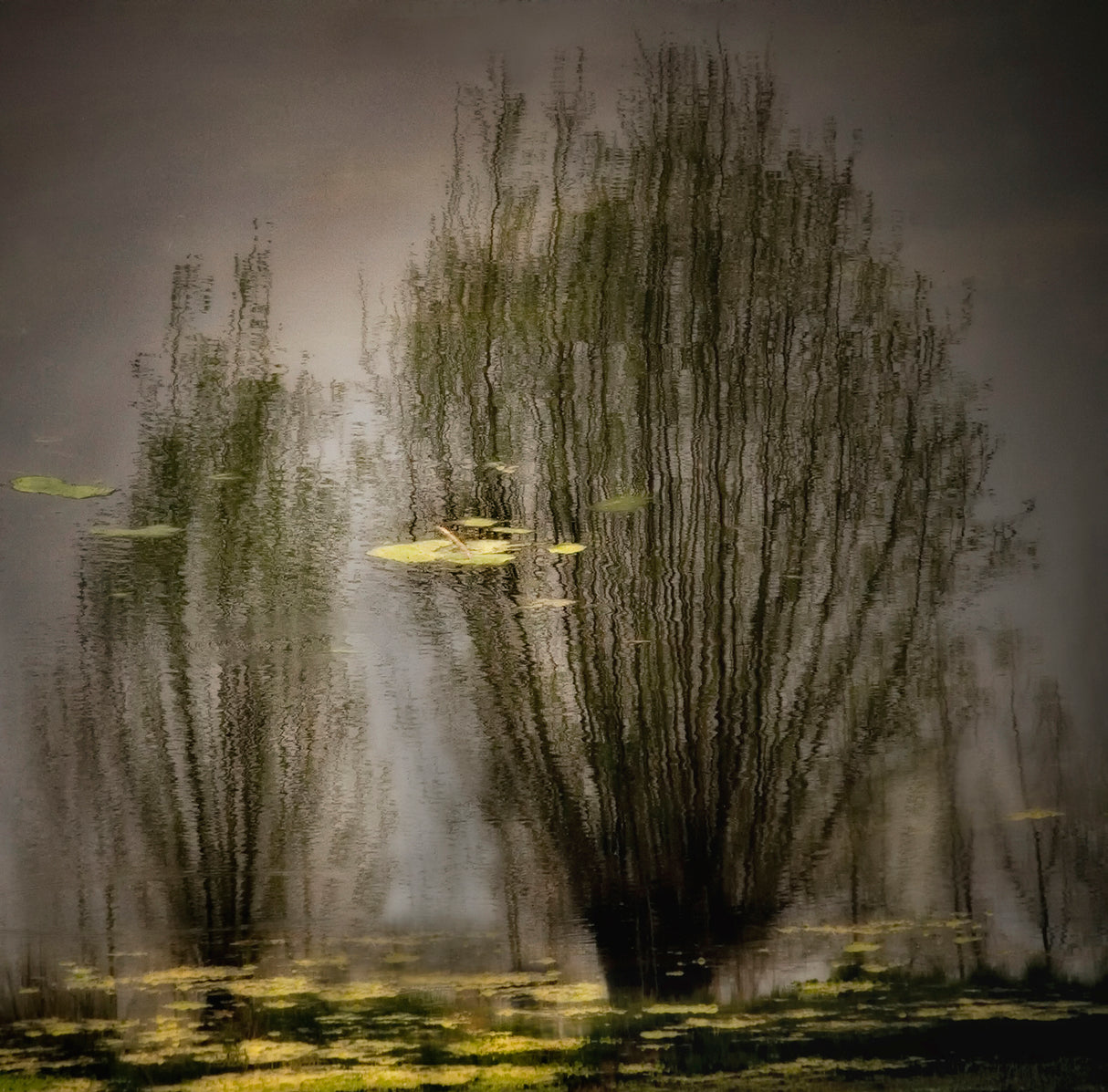 Shimmering reflections Poster och Canvastavla