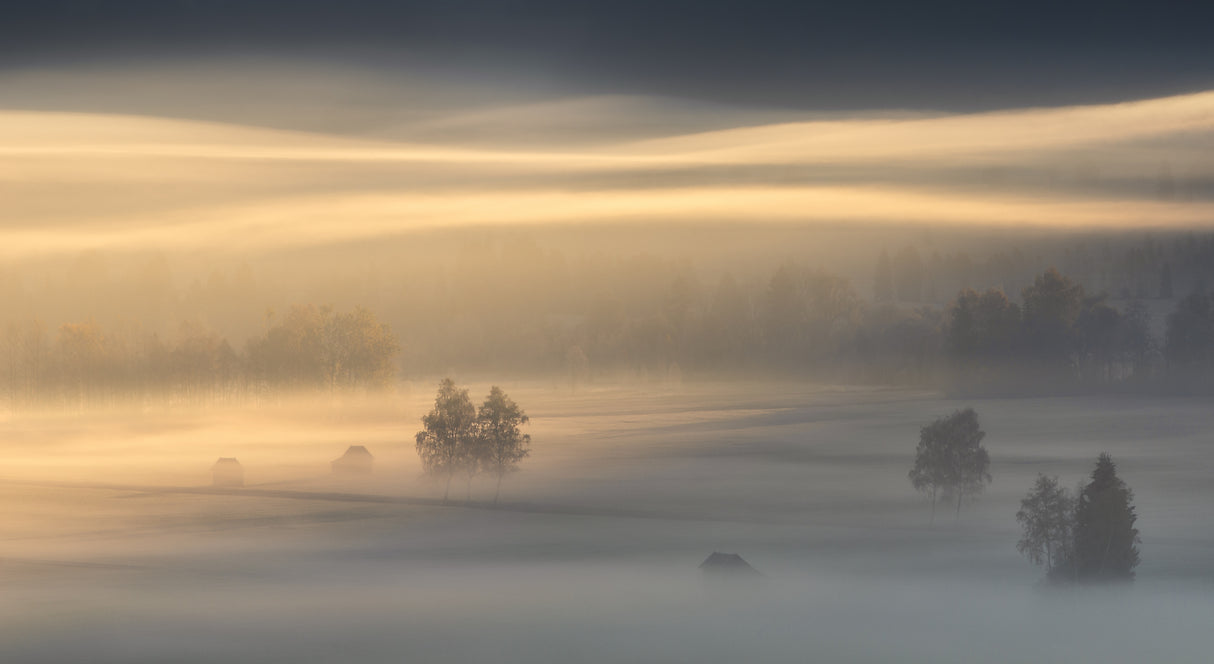 Autumn Morning Poster och Canvastavla