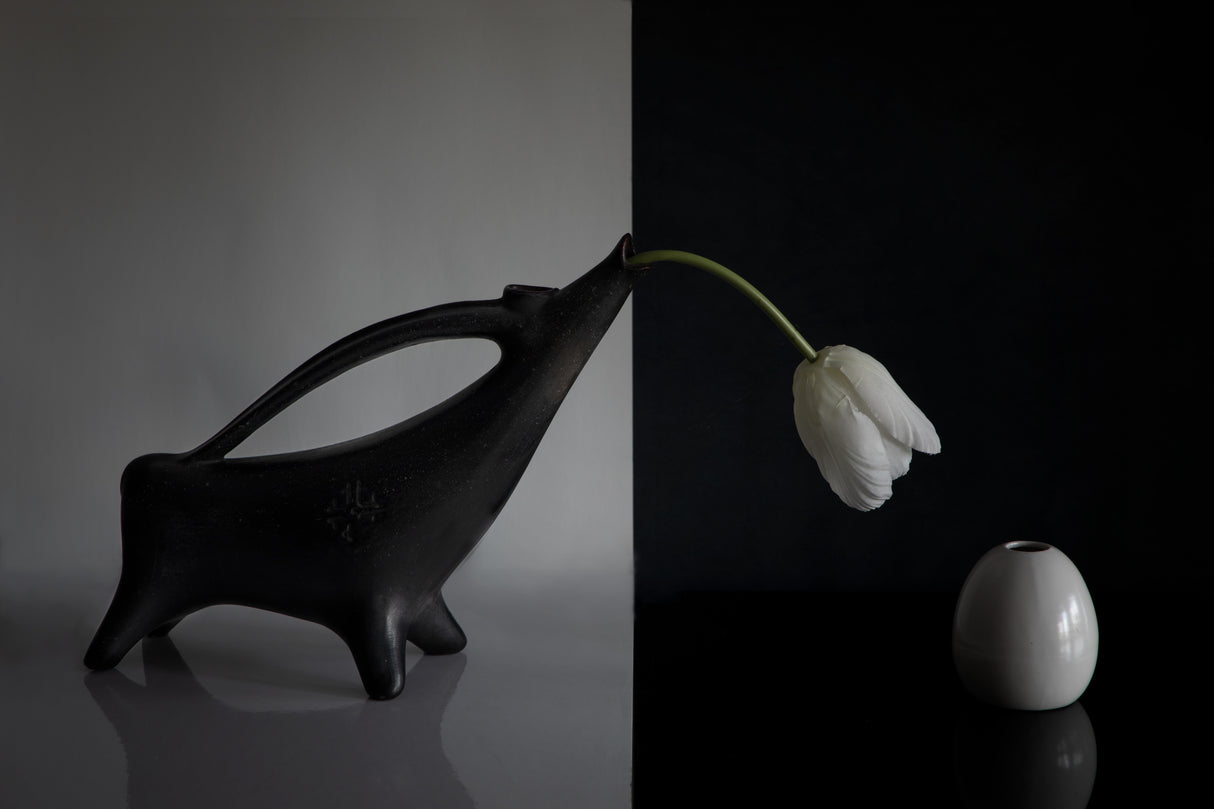 Tulips Poster och Canvastavla