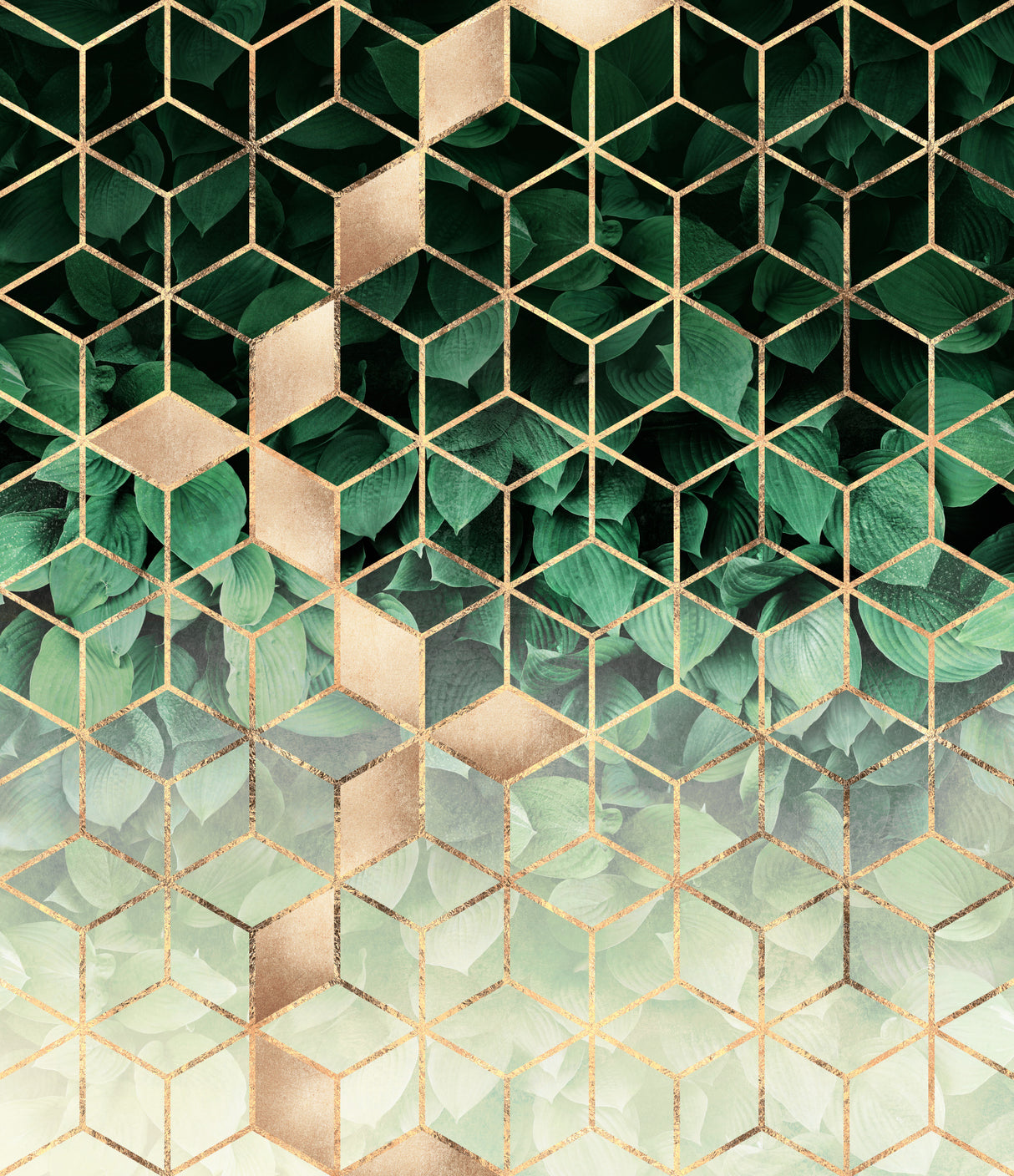 Leaves And Cubes Poster och Canvastavla