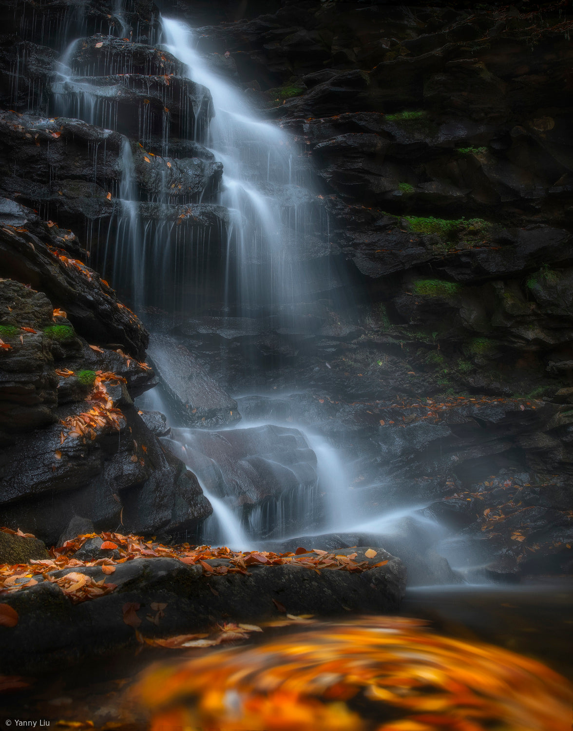 Swirl Falls Poster och Canvastavla