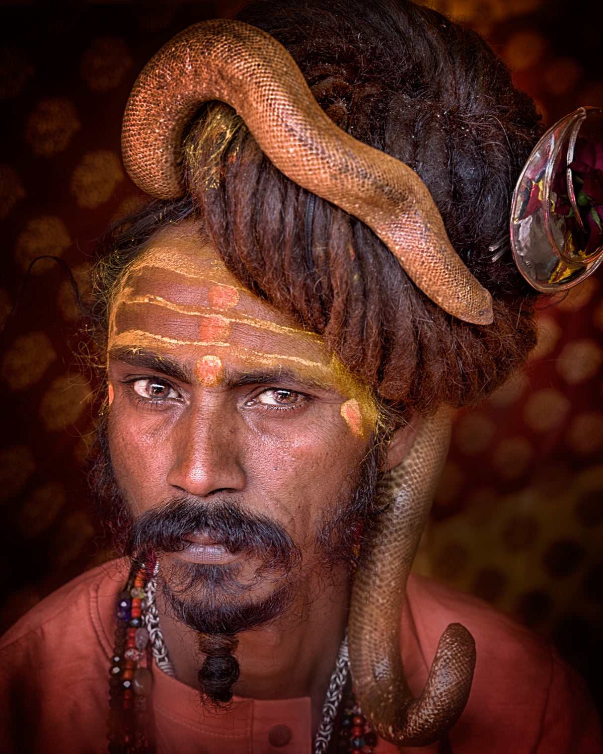 Young sadhu with a snake in his head of hair Poster och Canvastavla