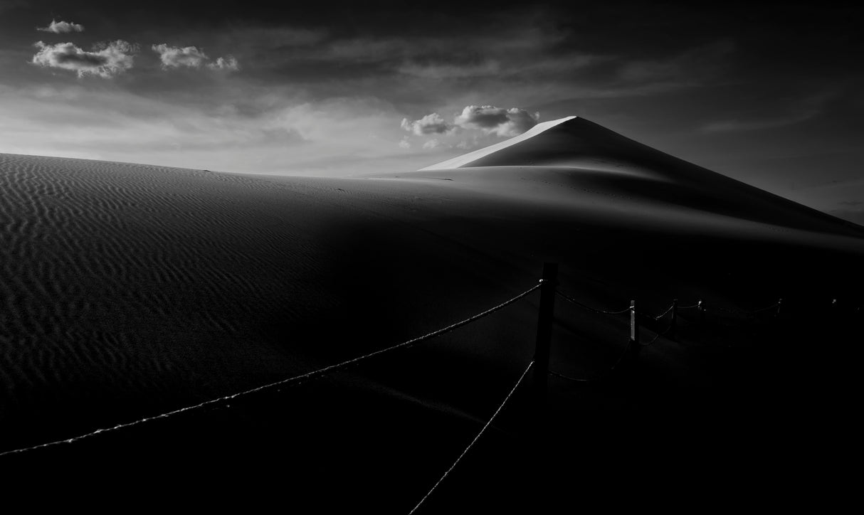 Sand Dune Poster och Canvastavla