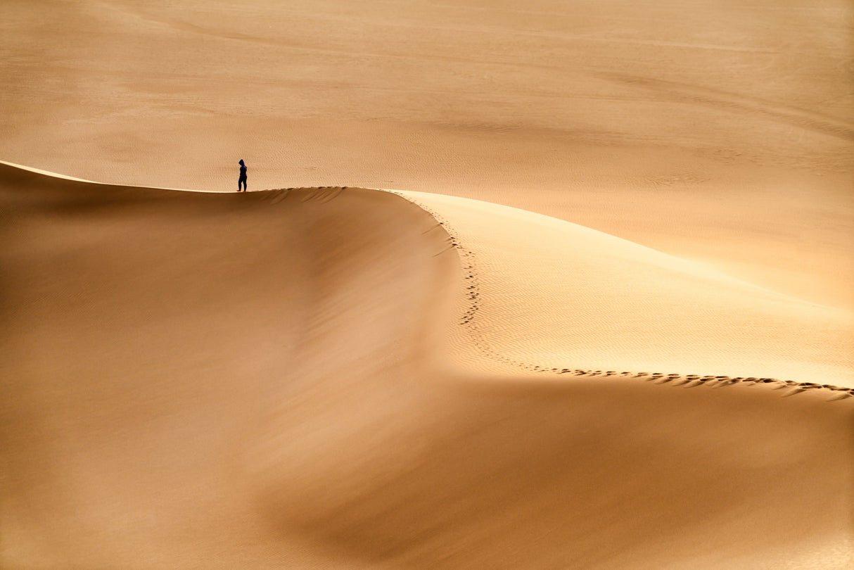 Man and the desert Poster och Canvastavla