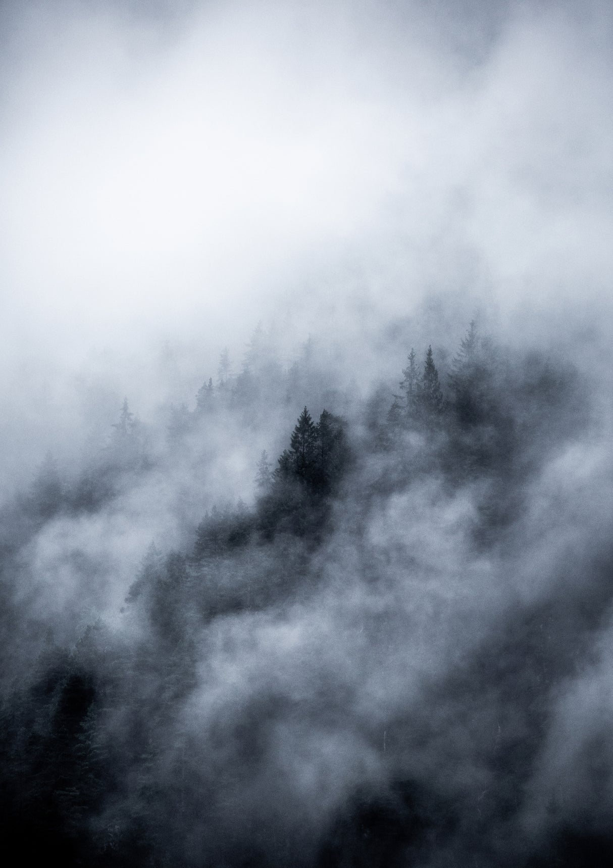Foggy Morning 3 Poster och Canvastavla