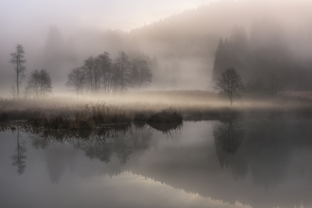 Mystic Morning Poster och Canvastavla
