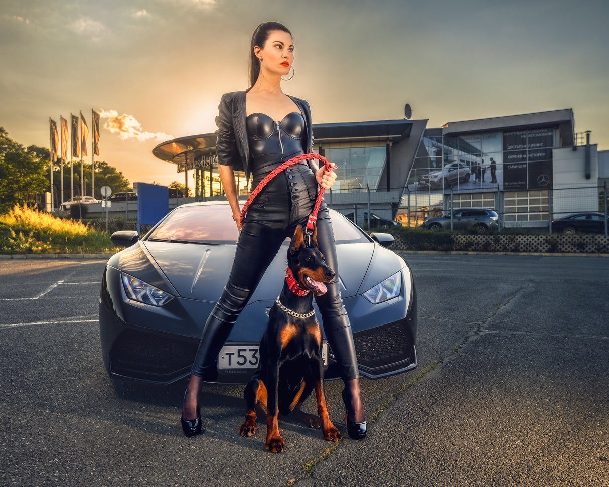 Daniela and the Doberman Alma at sunset Poster och Canvastavla