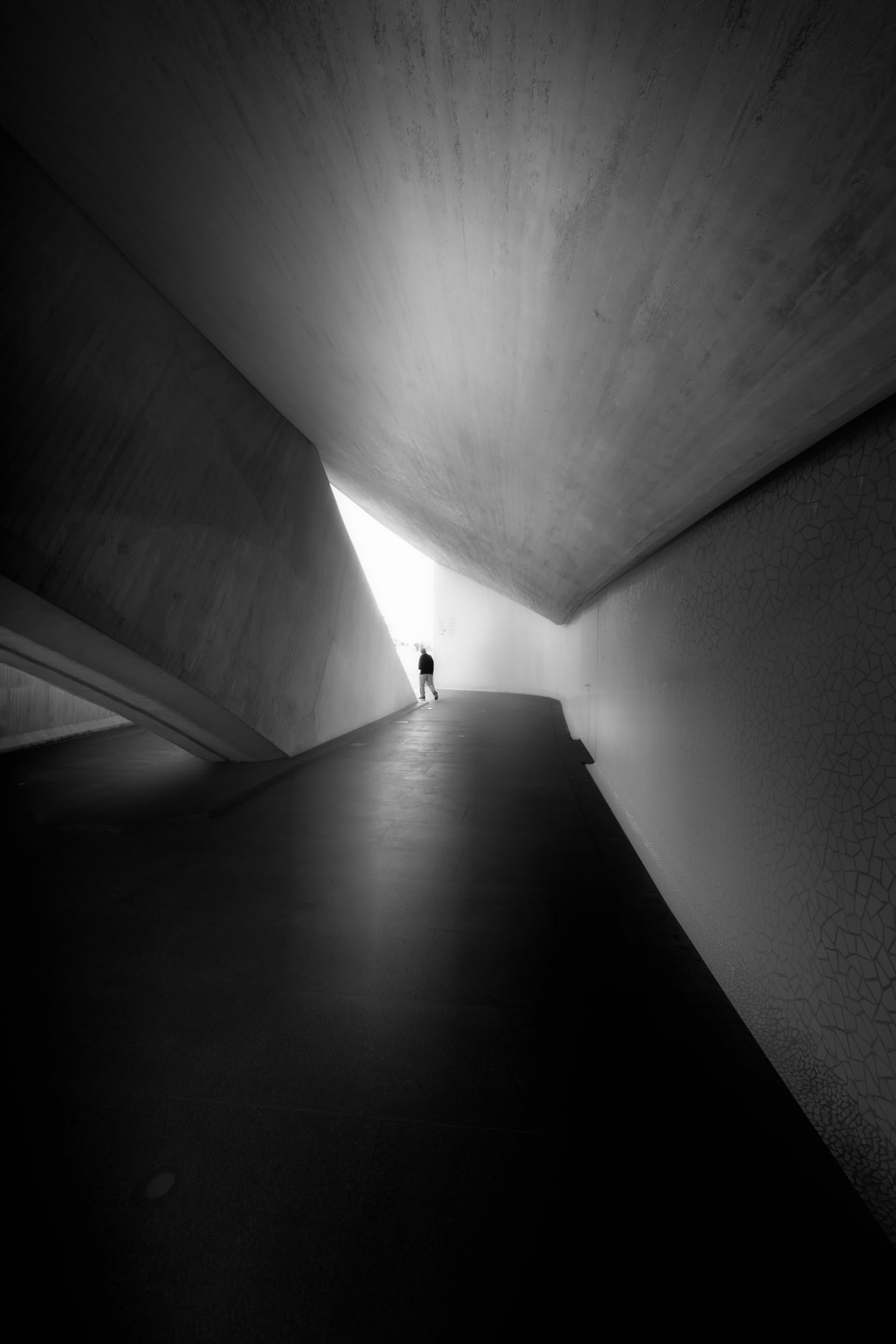 Walking into the light Poster och Canvastavla