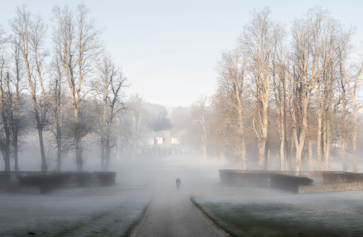 Foggy morning Poster och Canvastavla
