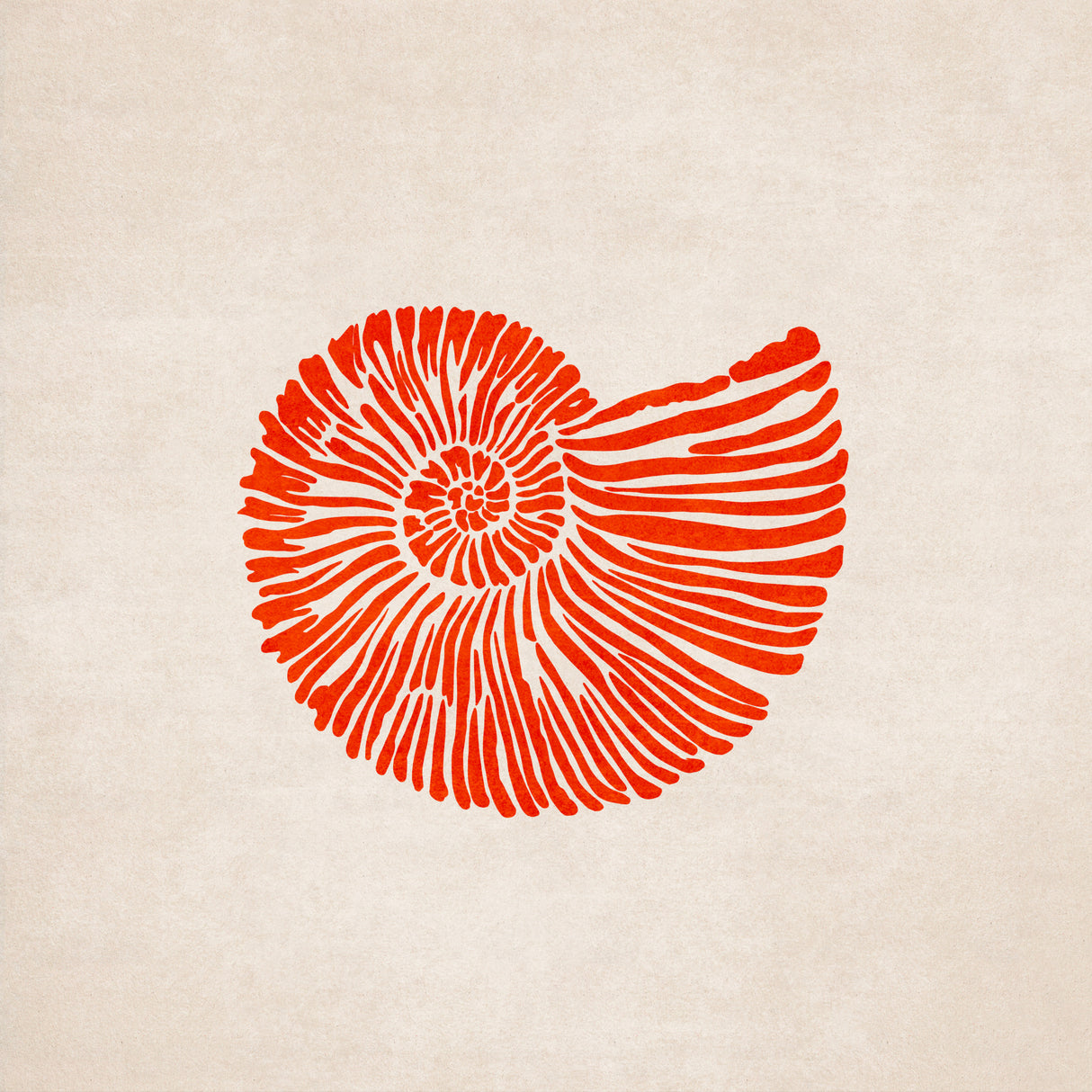 Shell Poster och Canvastavla
