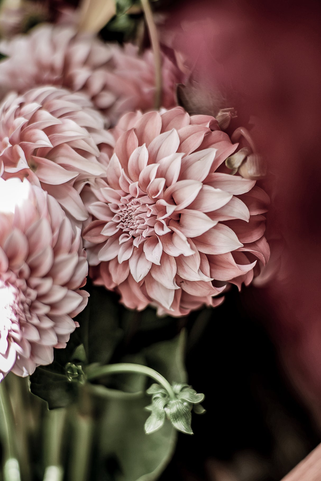 Flower Market Poster och Canvastavla