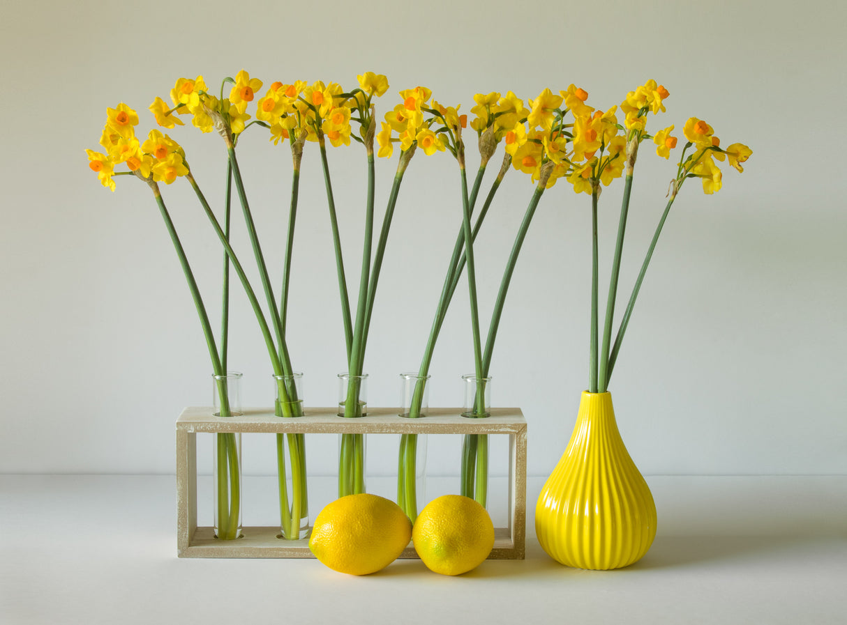 The Freshness of Spring Poster och Canvastavla