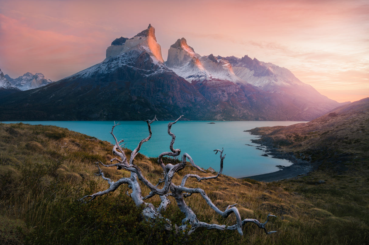 Morning in Torres del Paine Poster och Canvastavla